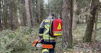 Adelsdorf: Tödlicher Unfall im Wald - Arbeiter von Baumstamm eingeklemmt