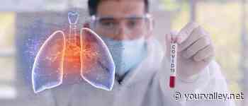 New Queen Creek coronavirus cases hold steady at nearly 4000 per week - Your Valley