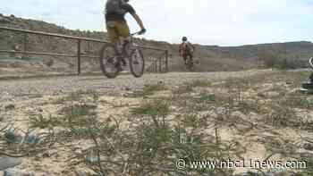 Forest Service seeking public comment regarding upcoming trails project - KKCO-TV