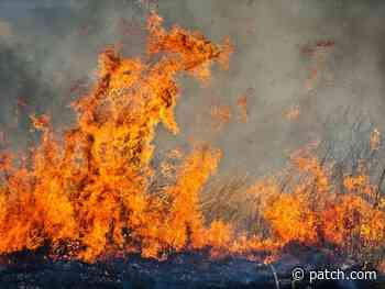 SDG&E, Cleveland National Forest Complete Fire Hardening Project - Patch.com