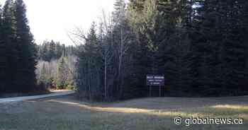 Pine Creek First Nation sues Manitoba, logging company over Duck Mountain forest rights - Globalnews.ca