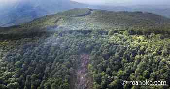Mountain Valley Pipeline loses permit to cross through Jefferson National Forest - Roanoke Times