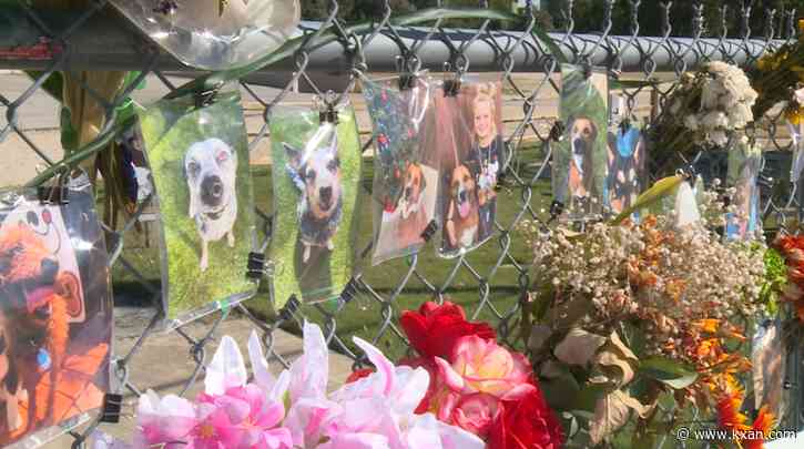Georgetown fire chief's ideas to prevent another pet boarding tragedy