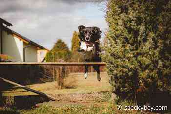 Identifying the Obstacles in Your Web Design Career