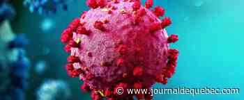 COVID-19: 51 cas du «petit frère» d’Omicron détectés au pays