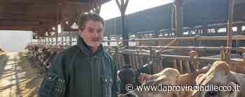 Lecco, l'innovazione cambia il latte: più digeribile - La Provincia di Lecco