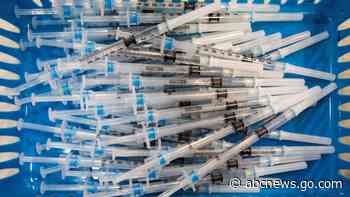 As new variants emerge, US government turns attention to a universal coronavirus vaccine - ABC News