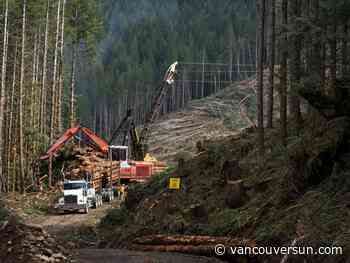 B.C. Appeal Court extends injunction against old-growth logging protests