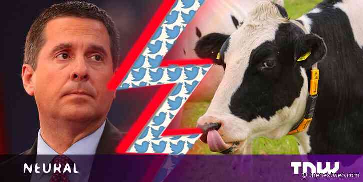Trump’s censorship czar for TRUTH social media once sued a cow over Twitter beef
