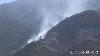 Interponen querella tras incendio forestal en Coltauco