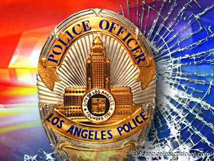 Police Arrest Suspect Driving Allegedly Stolen Van In South LA