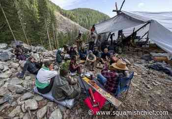 B.C. Appeal Court extends injunction against old-growth logging protests - Squamish Chief