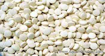 B.C. man gets jail time in international drug smuggling case - Squamish Chief