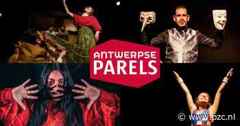 Nieuwe 'Antwerpse Parels' performen op kleine podia in de stad - PZC