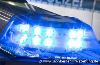 Diebstahl in Renningen - Unbekannte brechen geparkten VW auf - Leonberger Kreiszeitung