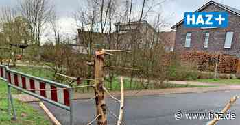 Plan für umstrittene Verlängerung der Alfred-Benz-Straße Straße liegt aus - Hannoversche Allgemeine