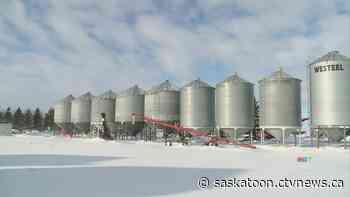 Sask. farmers grapple with high fertilizer prices