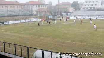 Poker Sanremese, solo un punto per il Chieri, Città di Varese sempre più secondo - VareseSport