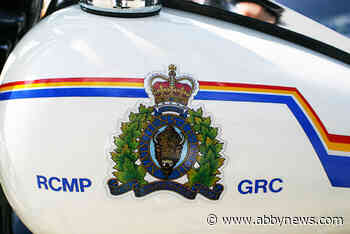 Mission RCMP use spike strips, police dog to capture car theft suspect