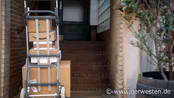 Essen: Mann nimmt Paket an – dann hört er Quieken aus anderer Box! - DER WESTEN