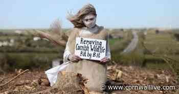 Road rebels to demand halt to A30 Cornwall works at protest - Cornwall Live