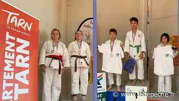 Montech Arts martiaux : un retour gagnant! - LaDepeche.fr