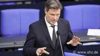 Auftritt im Bundestag: Robert Habeck will den Bau von Flüssiggas-Terminals vorantreiben | shz.de - shz.de