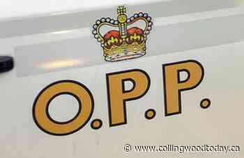 Police lay drunk driving charges after complaint of erratic driver in Markdale - CollingwoodToday.ca