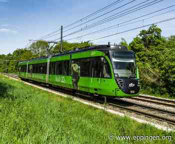 ▷ Vegetationsarbeiten entlang der Stadtbahnstrecke der S4: - Eppingen.org