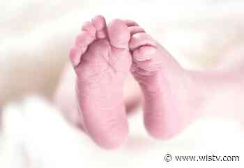 Infant successfully surrendered to Lexington Medical Center - WIS10