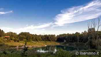 Gerenzano, Il Granello e Ardea insieme per il Parco degli Aironi - ilSaronno