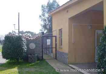 Monica Fasoli (Liberiamo Ardea) su canile Alba dog: “Caro Sindaco, facciamo chiarezza” - MeridianaNotizie