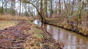 Warum Wittenberg keine neuen Bescheide für die Gewässerpflege verschickt - Mitteldeutsche Zeitung