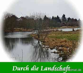 Durch die Landschaft ! - Lutherstadt Wittenberg - myheimat.de - myheimat.de