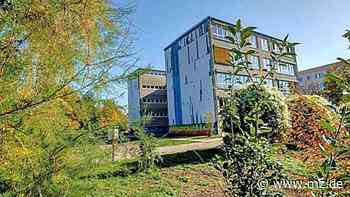 Rund sechs Millionen Euro Fördermittel für elf Schulen im Kreis Wittenberg bewilligt - Mitteldeutsche Zeitung