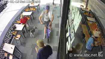 Call for Hobart e-scooter trial pause amid injuries and 'deep concerns' footpaths aren't safe