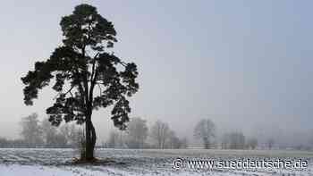 Dachauer Moos - Das Moor darf nicht gehen - Dachau - SZ.de - Süddeutsche Zeitung
