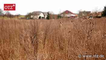 Diskussion um weitere Bauflächen in Rothenstein