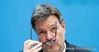 Habeck sieht Ausbau der erneuerbaren Energien auf gutem Weg - Wirtschaft - Rheinpfalz.de