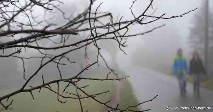 Wind, Regen und Schnee: Zum Wochenende wird’s ungemütlich
