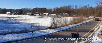 GmbH sucht die Konfrontation: Ablehnung der Pläne für die Bebauung in der Daxerau hat ein Nachspiel - Traunsteiner Tagblatt