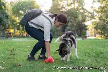 Man fined after failing to pick up dog poo - The Bolton News