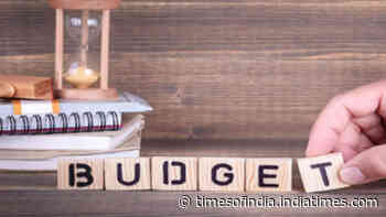 Budget and monetary policy should look beyond market reaction: Aditya Narain