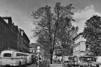 Buslinie in Reichenbach hat seit 50 Jahren Bestand - Freie Presse