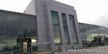 Come accedere alle sedi Inps dal primo febbraio 2022 - Termoli Online