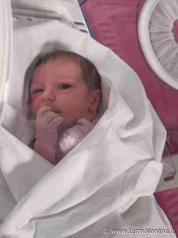 Termoli: Fiocco azzurro al Punto nascita di Termoli: benvenuto Derek Vincenzo - Termoli Online