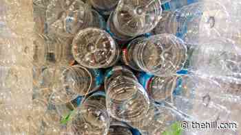FDA faces calls to limit BPA in plastics that contact food