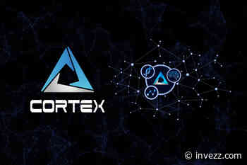 Is Cortex (CTXC) een koopmogelijkheid nadat de prijs is ingestort? - Invezz