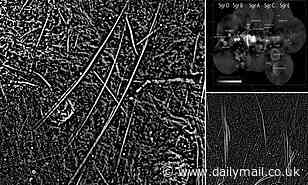 Space: Nearly 1,000 magnetic filaments are dangling 'inexplicably' at the heart of the Milky Way