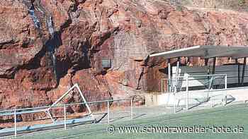 Gedenken in Schramberg - Antrag der Aktiven Bürger – Stolpersteine in Schramberg? - Schwarzwälder Bote